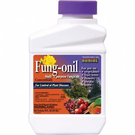 Bonide Products Bonide BND880 Bonide Pt Liquid Fungonil With Daconil Fungicide BND880